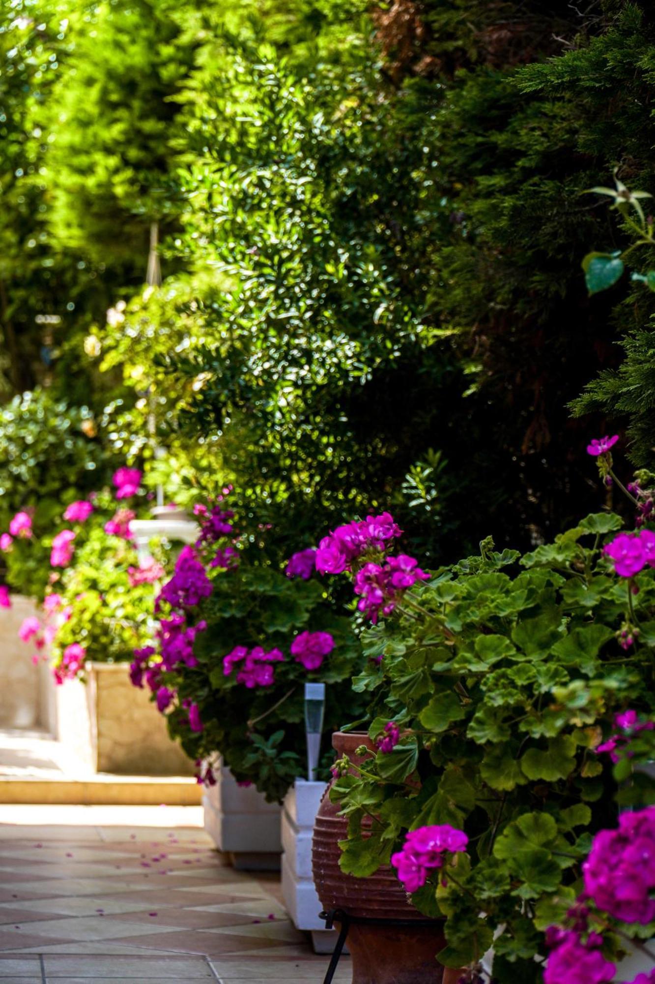 Cozy Artemis House Near Athens Airport Daire Dış mekan fotoğraf