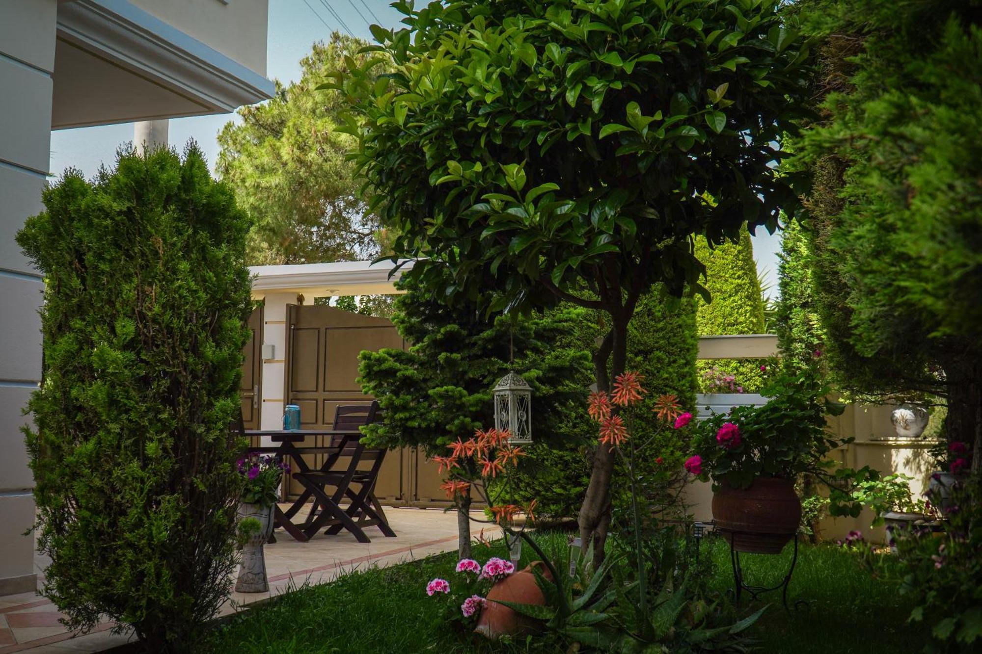 Cozy Artemis House Near Athens Airport Daire Dış mekan fotoğraf